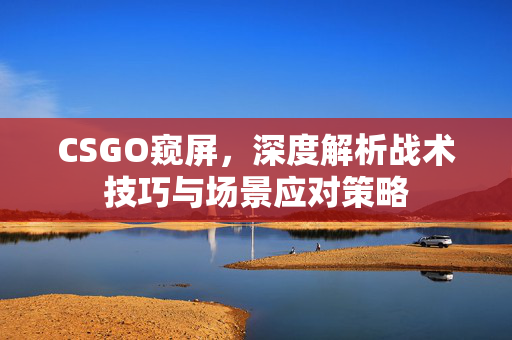 CSGO窥屏，深度解析战术技巧与场景应对策略