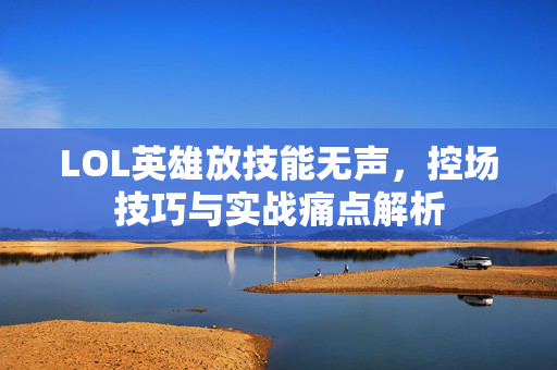 LOL英雄放技能无声，控场技巧与实战痛点解析
