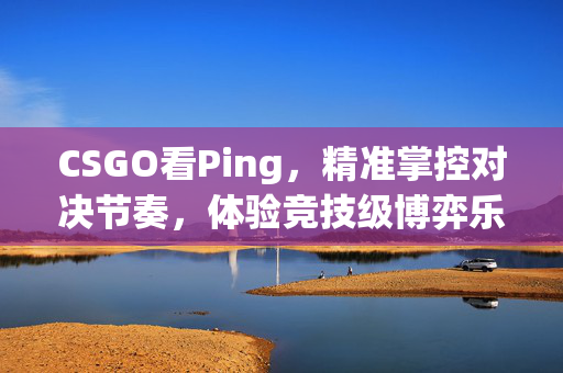 CSGO看Ping，精准掌控对决节奏，体验竞技级博弈乐趣