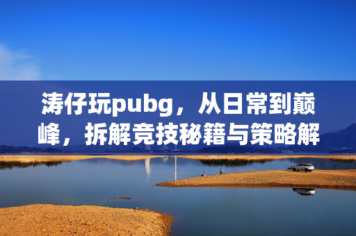 涛仔玩pubg，从日常到巅峰，拆解竞技秘籍与策略解析