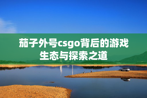 茄子外号csgo背后的游戏生态与探索之道