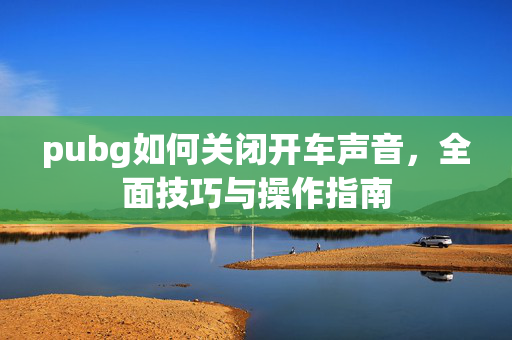 pubg如何关闭开车声音，全面技巧与操作指南