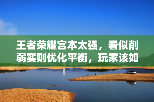 王者荣耀宫本太强，看似削弱实则优化平衡，玩家该如何应对？