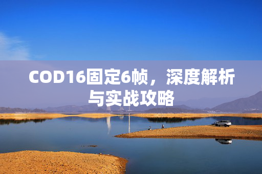 COD16固定6帧，深度解析与实战攻略