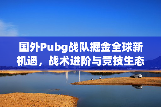 国外Pubg战队掘金全球新机遇，战术进阶与竞技生态的深层博弈