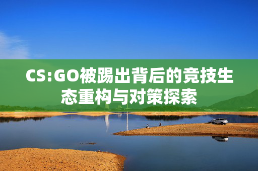 CS:GO被踢出背后的竞技生态重构与对策探索