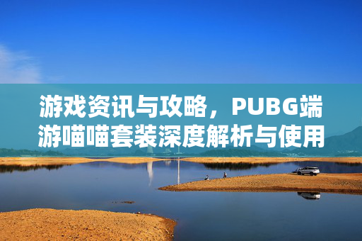 游戏资讯与攻略，PUBG端游喵喵套装深度解析与使用指南