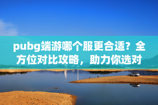 pubg端游哪个服更合适？全方位对比攻略，助力你选对最优账号