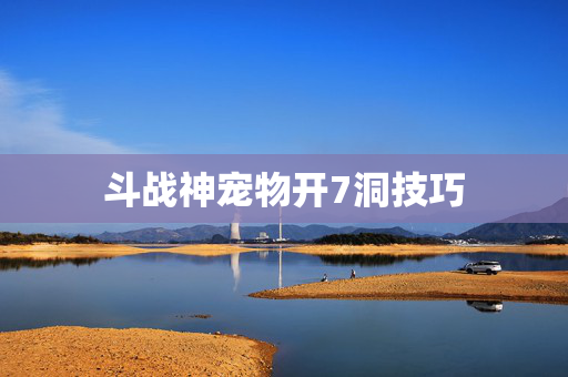 斗战神宠物开7洞技巧