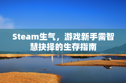 Steam生气，游戏新手需智慧抉择的生存指南