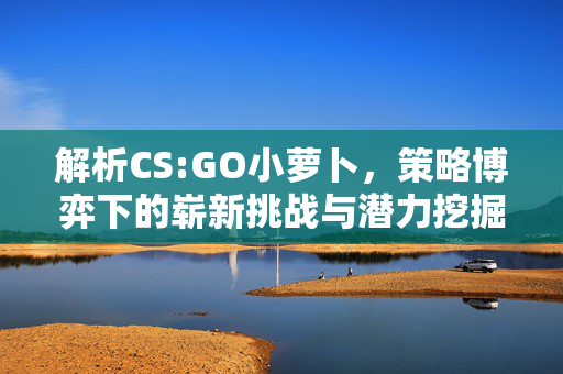 解析CS:GO小萝卜，策略博弈下的崭新挑战与潜力挖掘