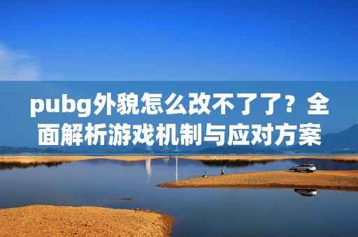 pubg外貌怎么改不了了？全面解析游戏机制与应对方案