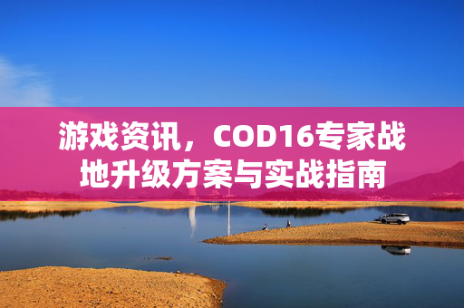游戏资讯，COD16专家战地升级方案与实战指南