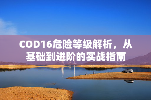 COD16危险等级解析，从基础到进阶的实战指南