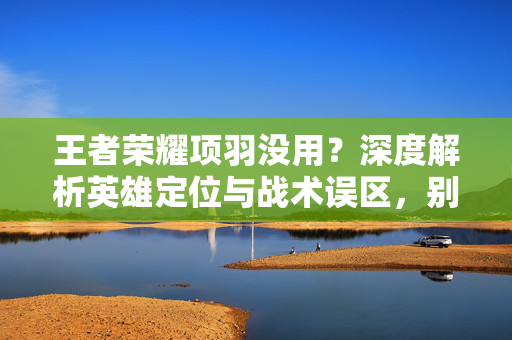 王者荣耀项羽没用？深度解析英雄定位与战术误区，别再误入选择误区