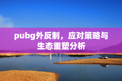 pubg外反制，应对策略与生态重塑分析