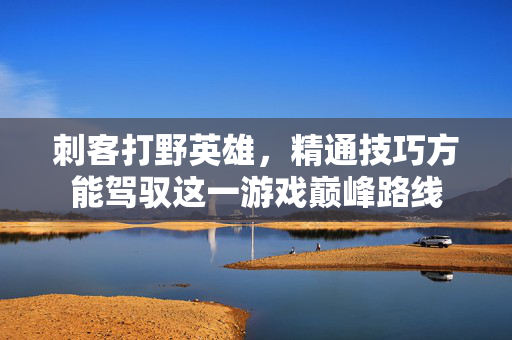 刺客打野英雄，精通技巧方能驾驭这一游戏巅峰路线