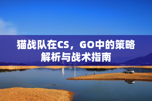 猫战队在CS，GO中的策略解析与战术指南