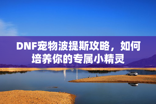 DNF宠物波提斯攻略，如何培养你的专属小精灵
