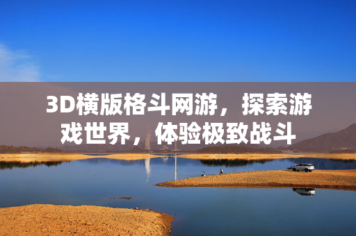 3D横版格斗网游，探索游戏世界，体验极致战斗