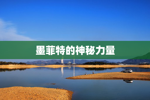 墨菲特的神秘力量