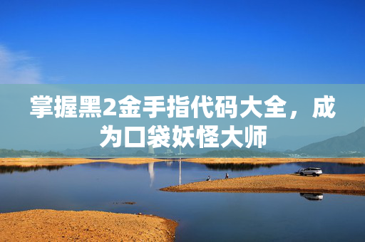 掌握黑2金手指代码大全，成为口袋妖怪大师