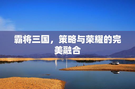 霸将三国，策略与荣耀的完美融合