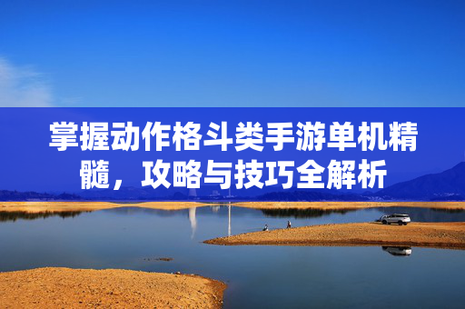 掌握动作格斗类手游单机精髓，攻略与技巧全解析