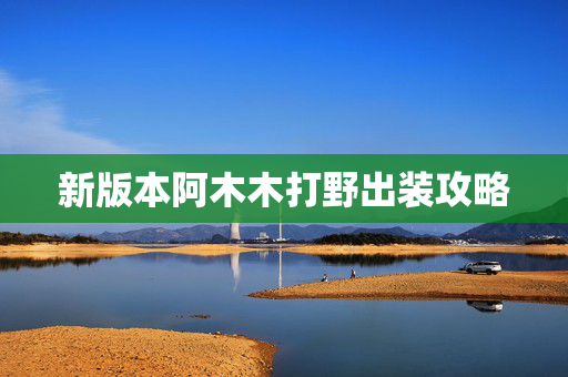 新版本阿木木打野出装攻略