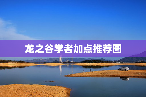 龙之谷学者加点推荐图