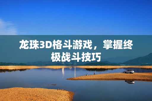 龙珠3D格斗游戏，掌握终极战斗技巧
