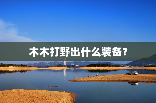 木木打野出什么装备？