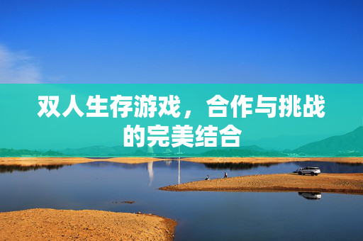 双人生存游戏，合作与挑战的完美结合
