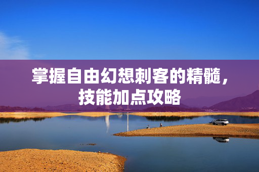 掌握自由幻想刺客的精髓，技能加点攻略