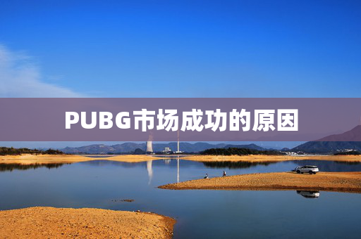 PUBG市场成功的原因