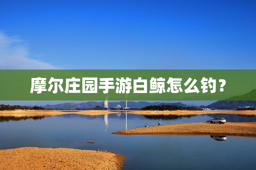 摩尔庄园手游白鲸怎么钓？