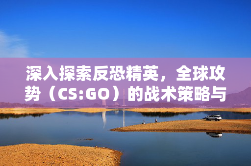 深入探索反恐精英，全球攻势（CS:GO）的战术策略与技巧