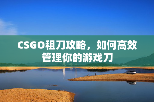 CSGO租刀攻略，如何高效管理你的游戏刀
