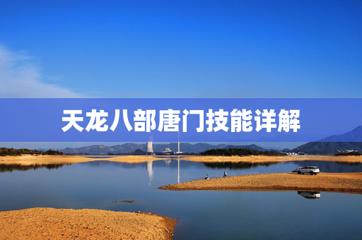 天龙八部唐门技能详解