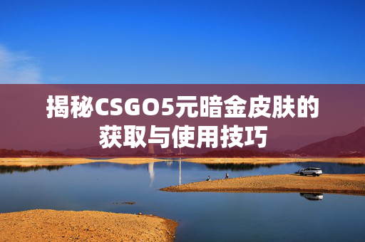 揭秘CSGO5元暗金皮肤的获取与使用技巧