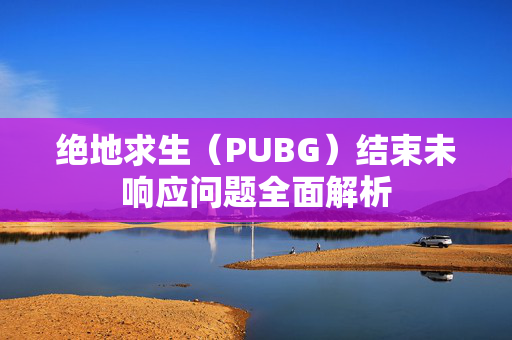 绝地求生（PUBG）结束未响应问题全面解析