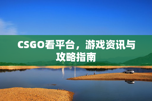 CSGO看平台，游戏资讯与攻略指南