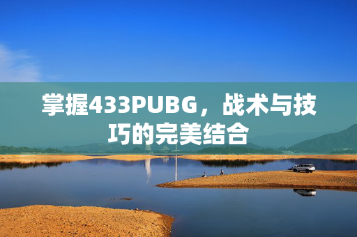 掌握433PUBG，战术与技巧的完美结合