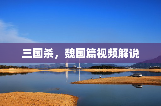 三国杀，魏国篇视频解说