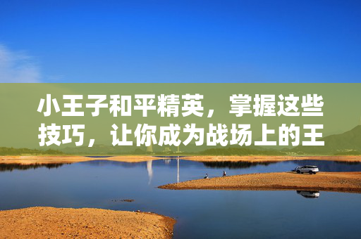小王子和平精英，掌握这些技巧，让你成为战场上的王者！
