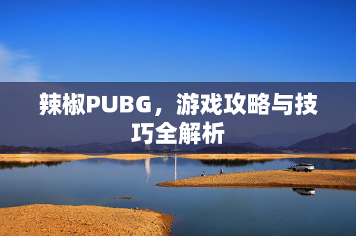 辣椒PUBG，游戏攻略与技巧全解析