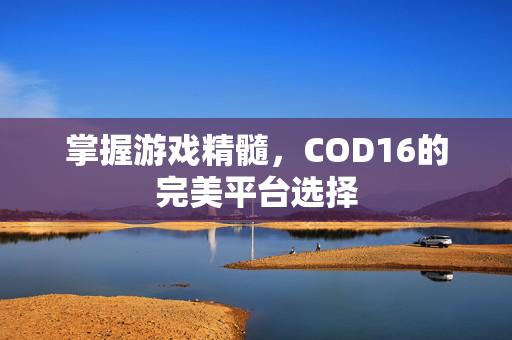 掌握游戏精髓，COD16的完美平台选择