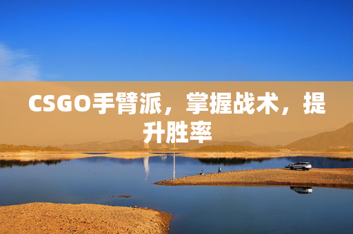 CSGO手臂派，掌握战术，提升胜率