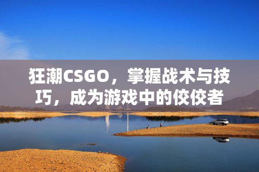 狂潮CSGO，掌握战术与技巧，成为游戏中的佼佼者