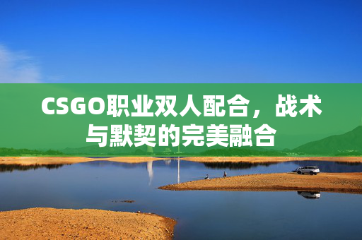 CSGO职业双人配合，战术与默契的完美融合